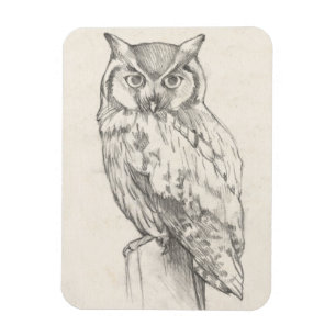 Magnet Flexible Portrait de hibou - Croquis