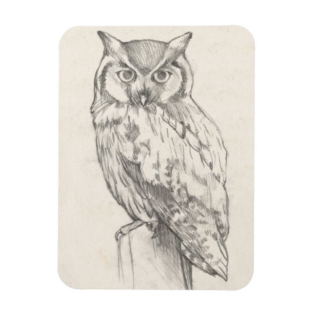 Magnet Flexible Portrait de hibou - Croquis (Vertical)