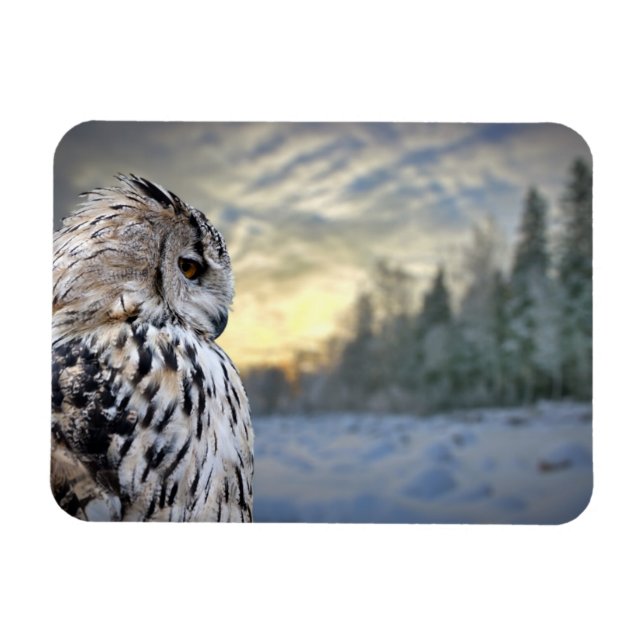 Magnet Flexible Portrait de hibou sur l'arrière - plan forestier d (Horizontal)