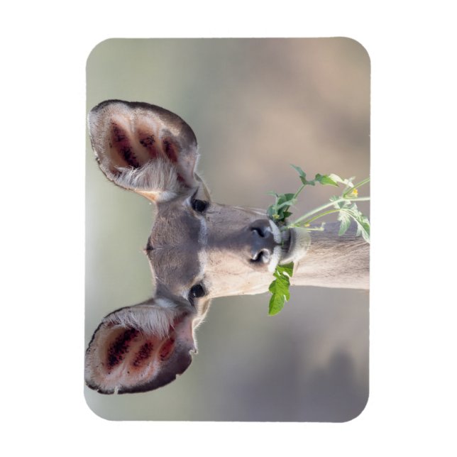 Magnet Flexible Portrait de Kudu (Vertical)