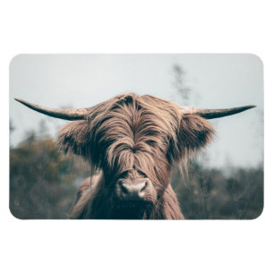 Magnet Flexible Portrait de vache Highland