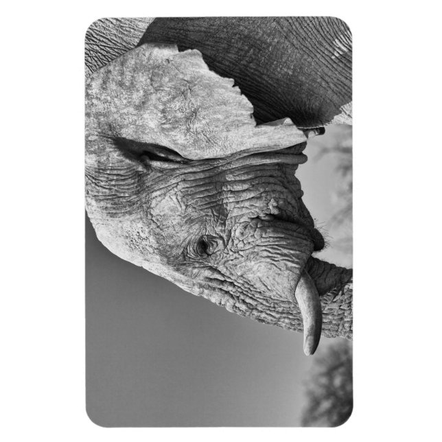 Magnet Flexible Portrait d'éléphant (Vertical)
