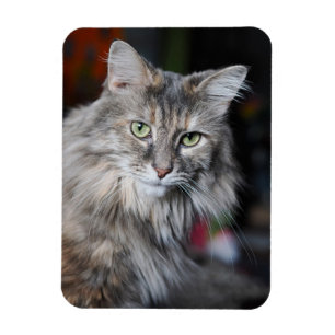 Magnet Flexible Portrait du chat Meow Meow