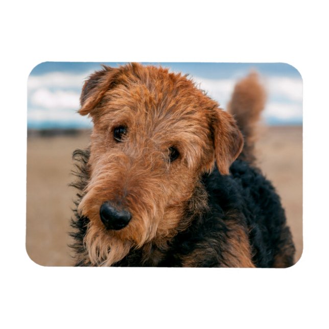 Magnet Flexible Portrait d'un Airedale Terrier (Horizontal)