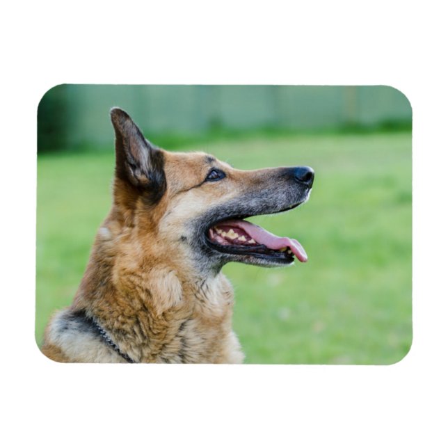 Magnet Flexible Portrait latéral berger allemand (Horizontal)