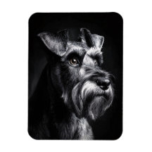 Portrait monochrome flexible de Schnauzer