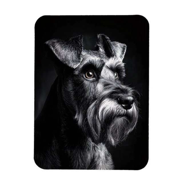 Magnet Flexible Portrait monochrome flexible de Schnauzer (Vertical)