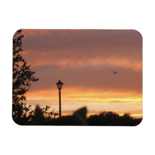 Magnet Flexible Poste d'ampoule et oiseau