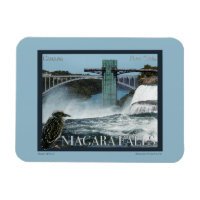 Poster de Niagara Falls