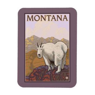 Magnet Flexible Poster du Vintage voyage de la chèvre de Montana