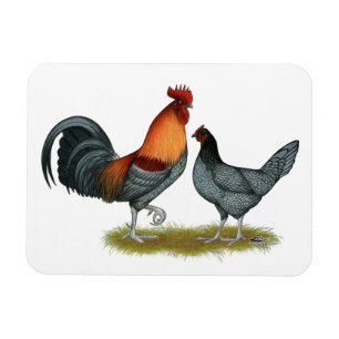 Magnet Flexible Poule bleue du Delaware