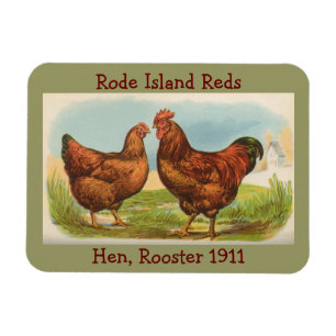 Magnet Flexible Poule française de pays, aimant flexible de coq