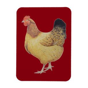 Magnet Flexible Poulet 2012