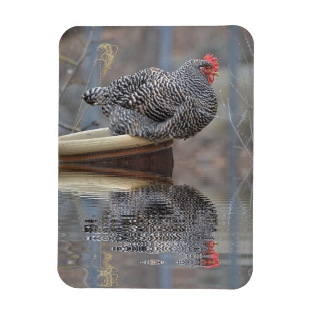 Magnet Flexible Poulet Avec Réflexions (Vertical)