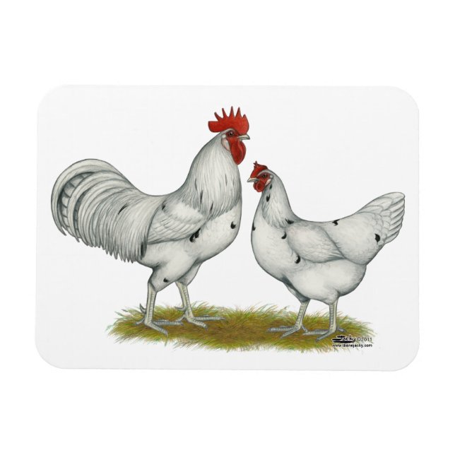 Magnet Flexible Poulets blancs Austra (Horizontal)