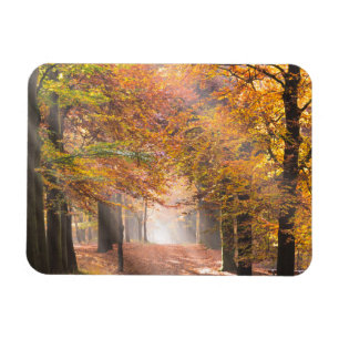 Magnet Flexible Poutres de soleil dans un aimant rectangulaire de