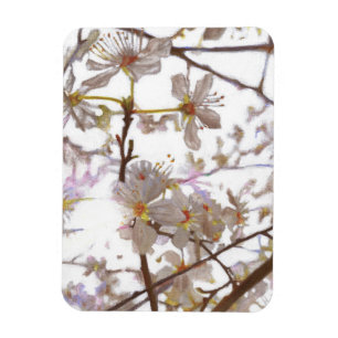 Magnet Flexible Prélude 2014