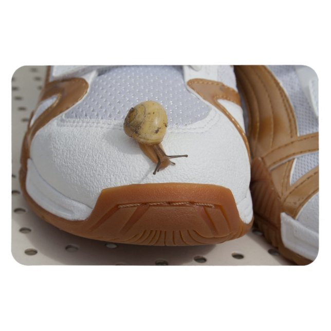 Magnet Flexible Prêt Pour La Course Des Escargots (Horizontal)