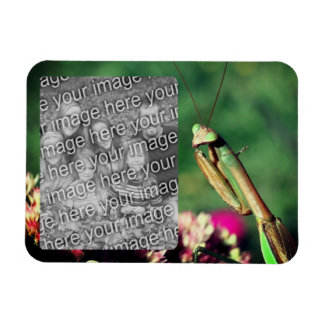 Magnet Flexible Prêter Cadre Mantis Créer Votre Propre Photo