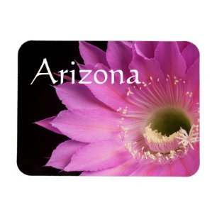 Magnet Flexible Pretty in pink Maria Piazza, Arizona