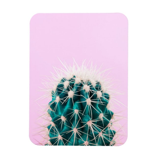 Magnet Flexible Prickley Cactus sur rose (Vertical)
