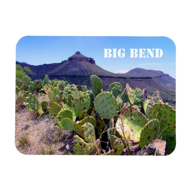Magnet Flexible Pricky Pear Cactus Big Bend National Park (Horizontal)