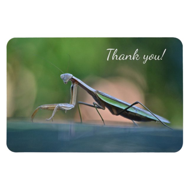 Magnet Flexible Prier Mantis Merci (Horizontal)