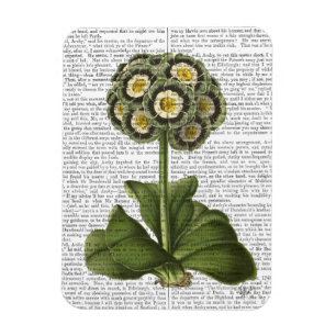 Magnet Flexible Primula Auraria Bleu