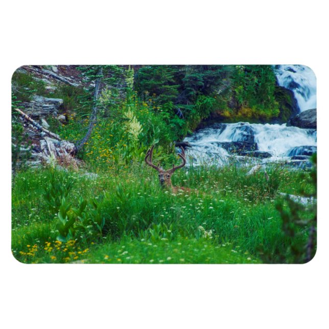 Magnet Flexible Prince de la Forêt (Horizontal)