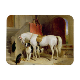 Magnet Flexible Prince George Favourites