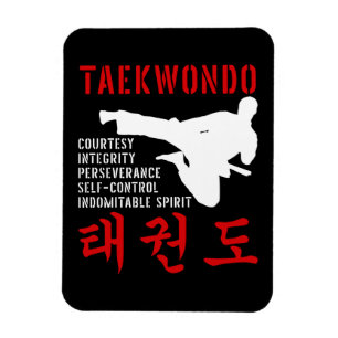 Magnet Flexible Principes du Taekwondo Coup de Pied en Volée Arts