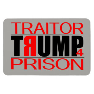 Magnet Flexible Prison de TraitorTrump 4