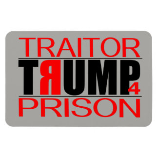 Magnet Flexible Prison TraitorTrump 4