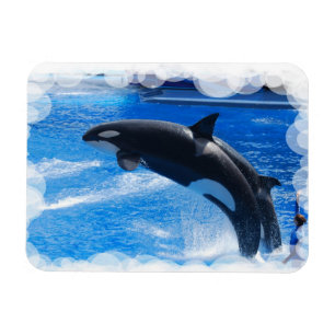 Magnet Flexible Produit de personnaliser