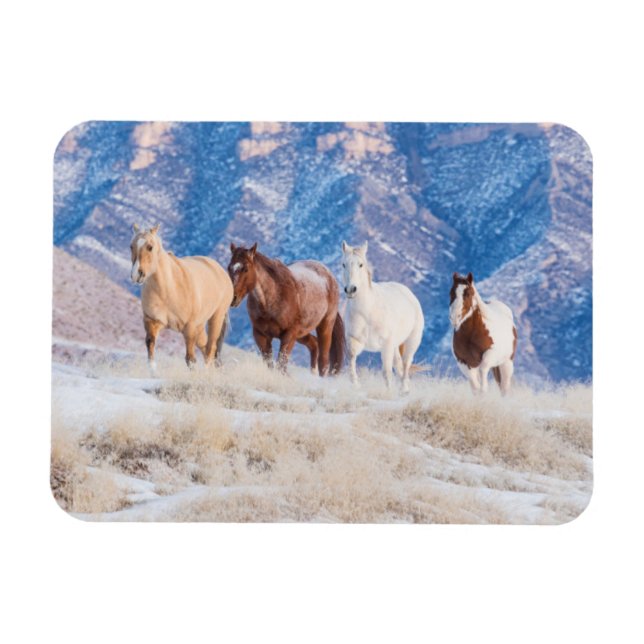 Magnet Flexible Promenade de Cowboy Horse sur Hideout Ranch (Horizontal)