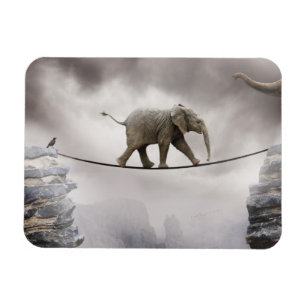 Magnet Flexible Promenades d'éléphant de bébé Tightrope