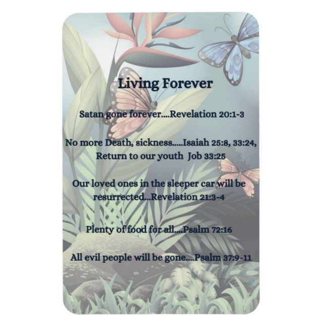 Magnet Flexible Promesse future (Vertical)