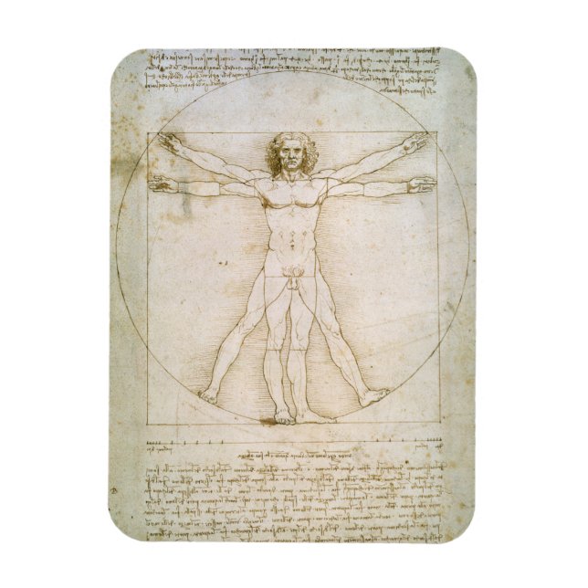 Magnet Flexible Proportions de la figure humaine (Vertical)
