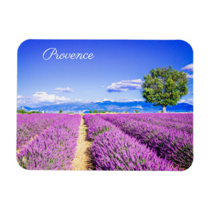 Magnet Flexible Provence