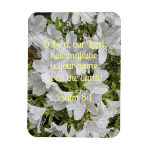 Magnet Flexible Psaume 8:1 Ô Seigneur, notre Seigneur, combien maj