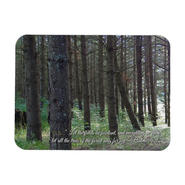 Magnet Flexible Psaumes 96:12 Inspirational (Horizontal)