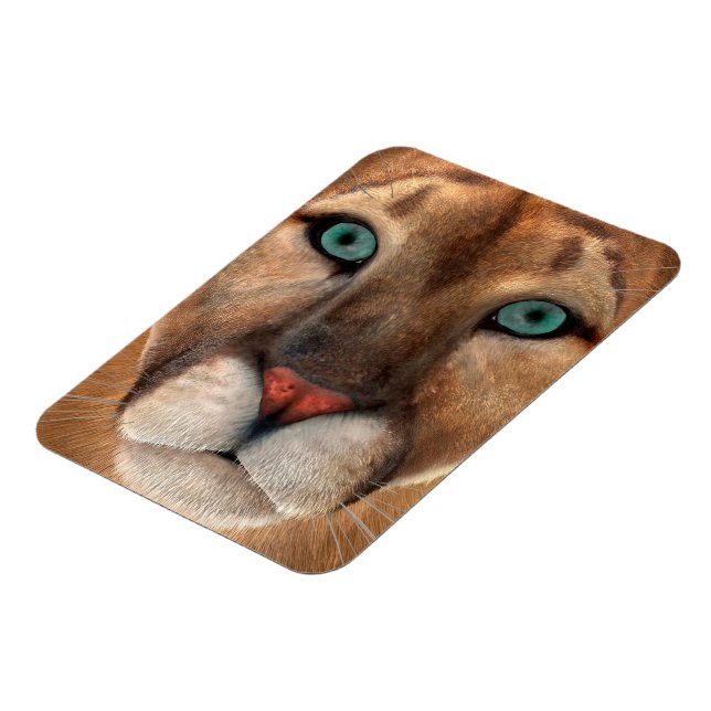 Magnet Flexible Puma (Côté Gauche)