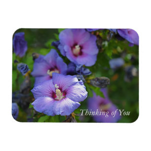 Magnet Flexible Purple Hibiscus Garden Flowers Penser à vous