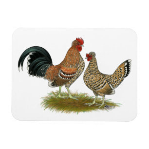 Magnet Flexible Pyncheon Bantams