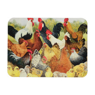 Magnet Flexible Quelque chose rappeler environ