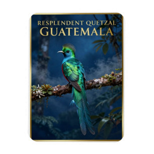 Magnet Flexible 🐦 Quetzal resplendissant forêt nuageuse du Guatem
