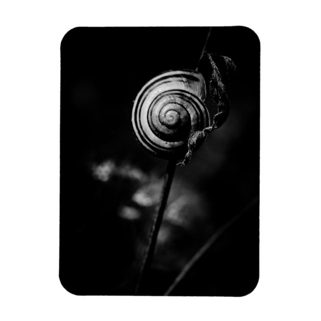 Magnet Flexible queue de l'escargot (Vertical)