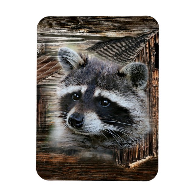 Magnet Flexible Raccoon À L'Ancienne Grange (Vertical)