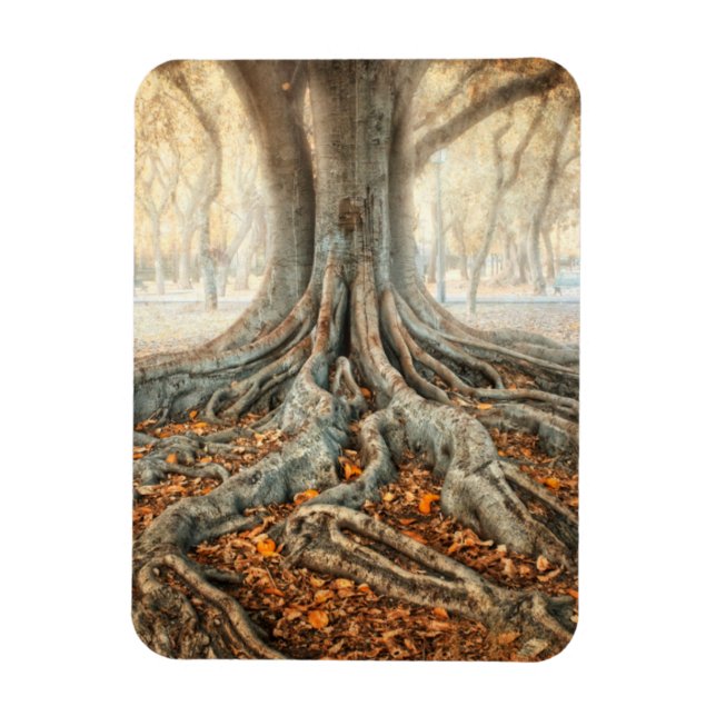 Magnet Flexible Racines de l'arbre antique (Vertical)