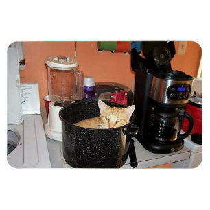 Magnet Flexible Ragoût de Kitty